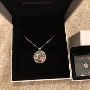 Pandora locket necklace with a new charm